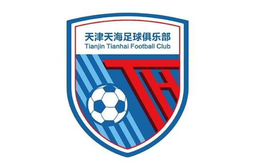 国内精品久久久久女同
